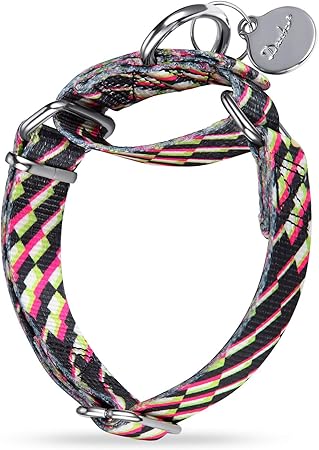 rope martingale collar
