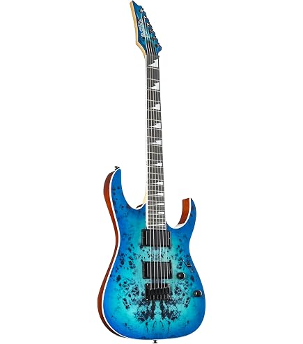 Amazon.com: Ibanez RG421PB Standard 6 String Right Handed Electric