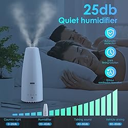 Elecameier Warm and Cool Mist Humidifier for