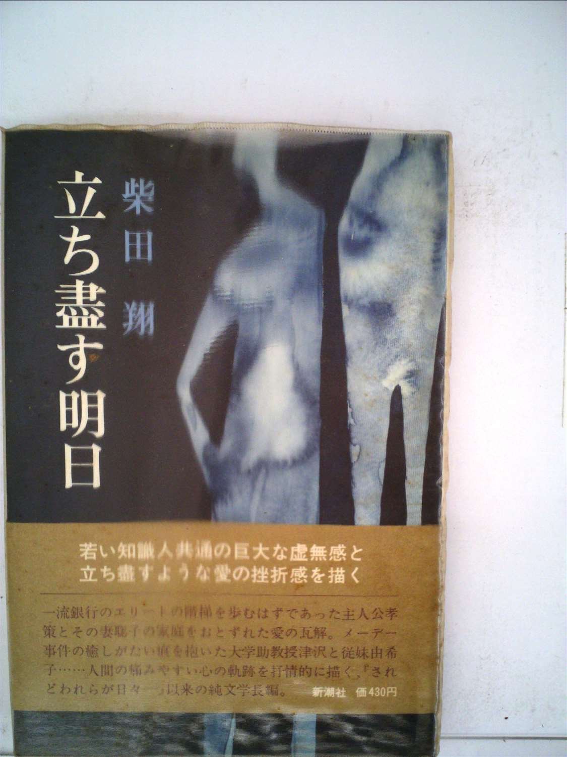 立ち尽くす明日 柴田翔 本 通販 Amazon