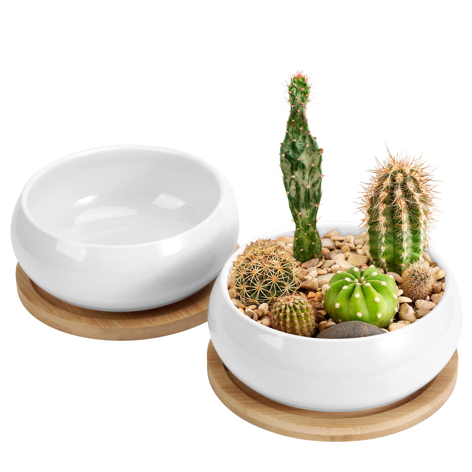Photo 1 of ZOUTOG 2 Pack Succulent Pots, 6 inch Ceramic Planters for Indoor Plants with Bamboo Tray, Pots with Drainage, Seeds? Plants Not Included