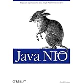 Java Nio