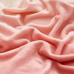 Luxlovery Pink Gradient Velvet Comforter Queen