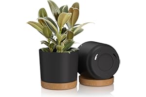 FIASON 6.5 inch Plant Pots, Plastic Planter with Drainage Hole and Saucer, A Set of 2 Flower Pots for Indoor, Outdoor, House Plants, Succulents, Flowers (Dark Grey)