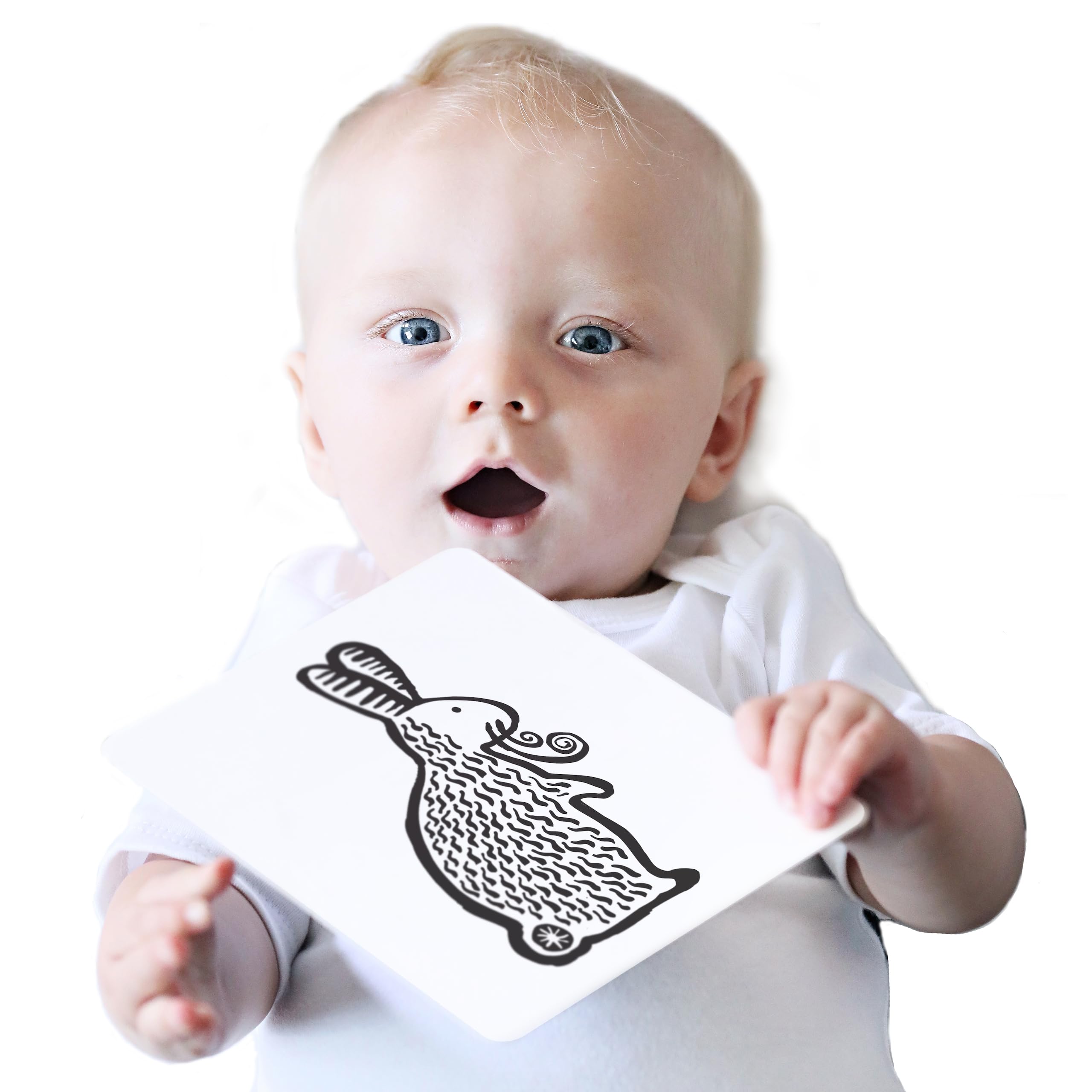 Photo 1 of Wee Gallery Art Cards for Baby, Durable High Contrast Black and White Animal Flashcards for Newborns, Brain Development, Sensory Toys, Tummy Time Essentials for Infant and Toddler - Pets