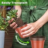 PEYOU 100 Pcs Plant Pots with 100 Labels 4 Inch Seedling Nursery Pots view 5