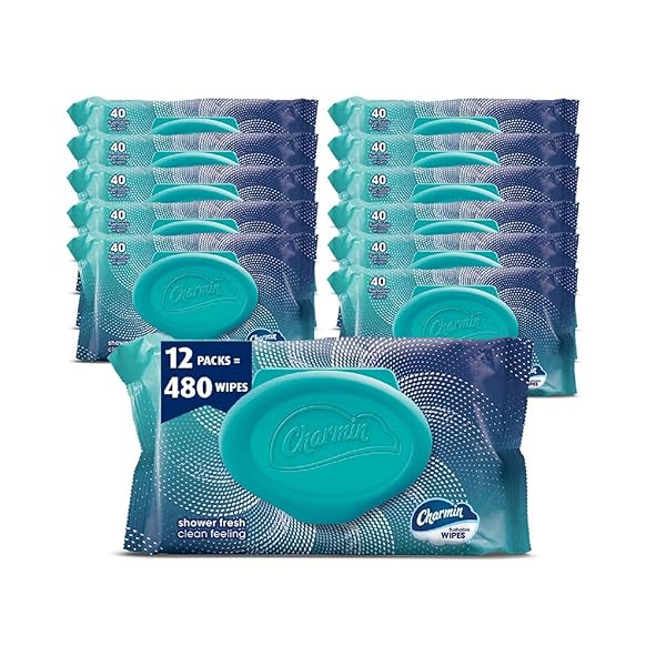 CHARMIN FLUSHABLE WIPES, 480 TOTAL WIPES (12 PACKS...