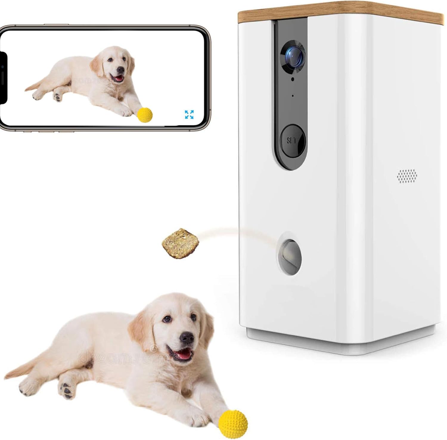 remote dog monitor