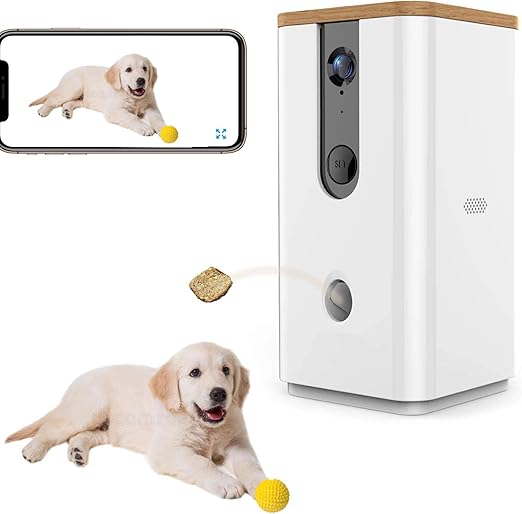 pet video monitor and treat dispenser