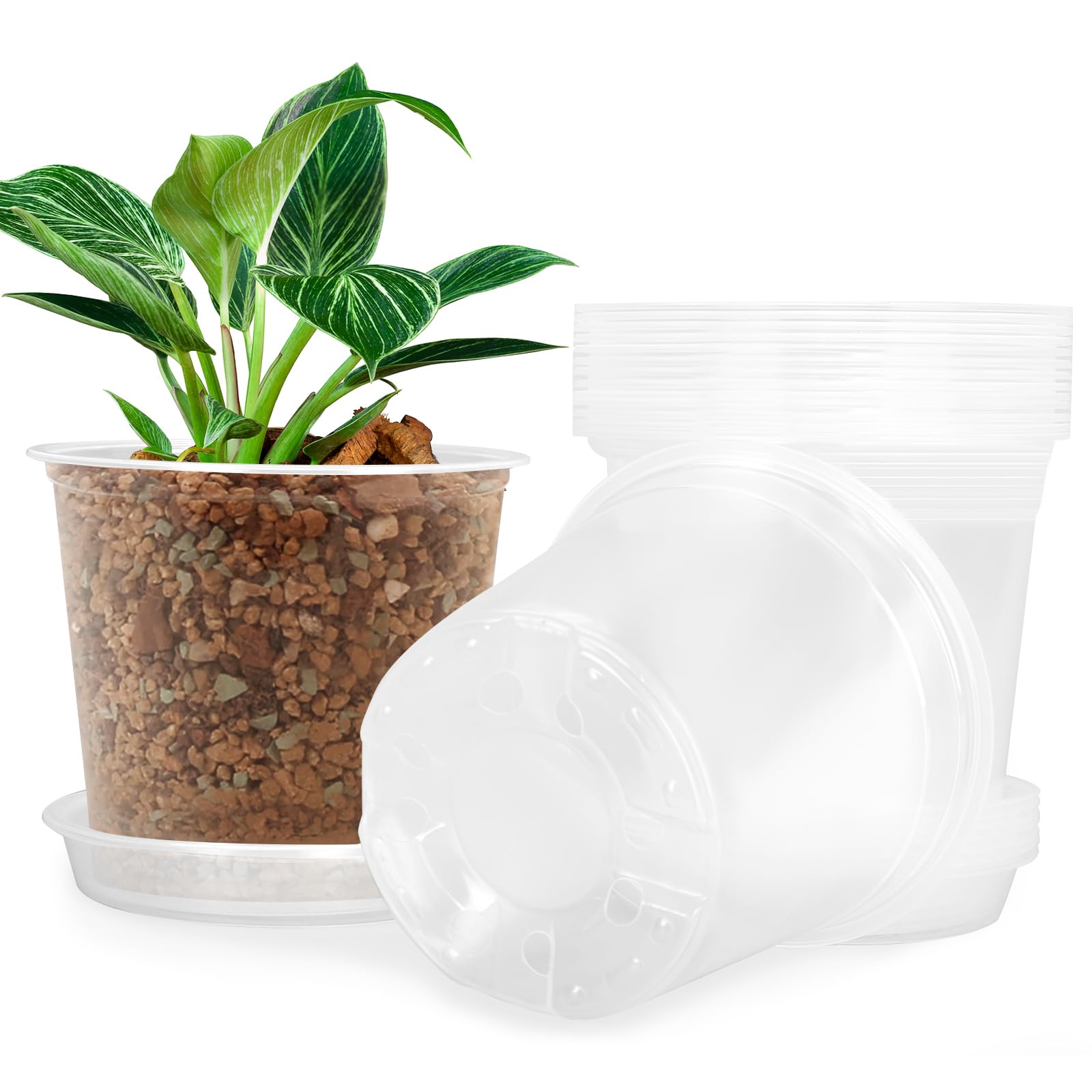Photo 1 of FUIJOL 7 Inch Clear Nursery Pots for Plants with Sacuers 15 Pack, Plastic Flower Pots with Drainage Holes, Variety Pack Seedlings Garden Pot for Indoor Outdoor (7 inch)