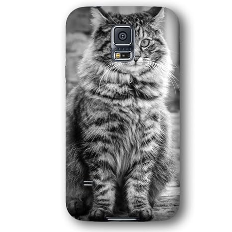 Long Haired British Gray Tabby Cat Samsung Galaxy S5 Amazon Co Uk