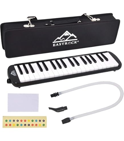 Amazon.com: HAMMOND BB PRO-24B Bass Melodica : Musical Instruments