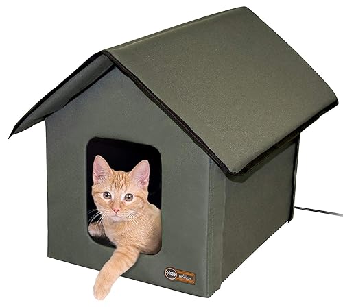 Best Cat Shelters