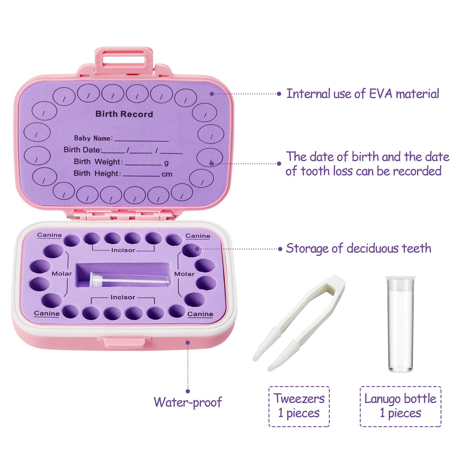 Baby Tooth Box Keepsake Box for Kids Teeth Storage Holder Baby Teeth Organizer Tooth Fairy Box with Baby Fetal Hair Container and Tweezer for Keeping The Child Memory (Purple-pink)