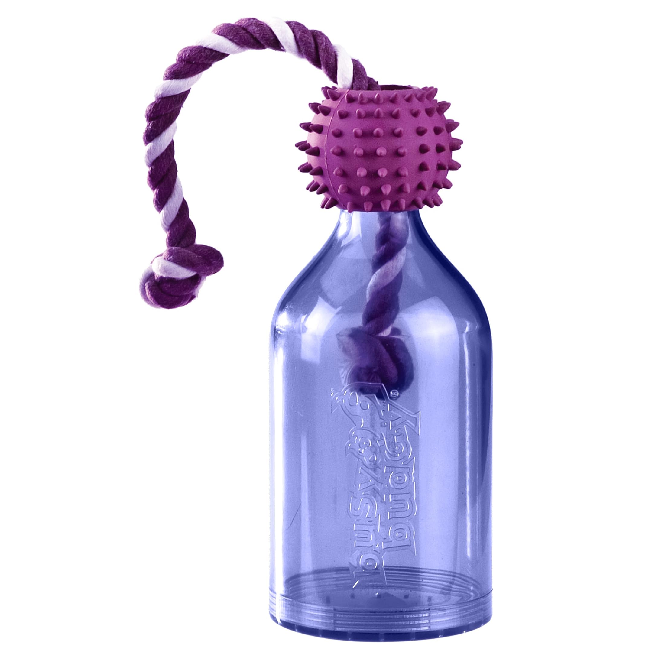 Premier PetSafe Busy Buddy Tug-A-Jug S and Interactive Meal Dispensing Dog Toy, Purple, Small