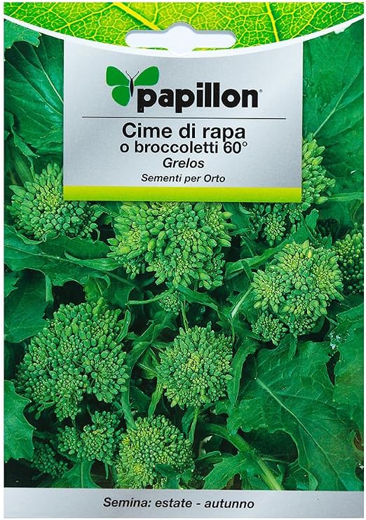 Semillas Grelo Brocoli (10 Gramos): Amazon.es: Jardín