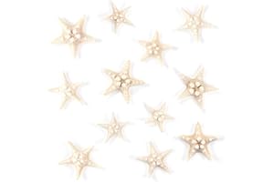 Super Z Outlet Starfish Natural Knobby Mini Beach Sea Stars for Wedding Seashell Crafts (12 Piece)