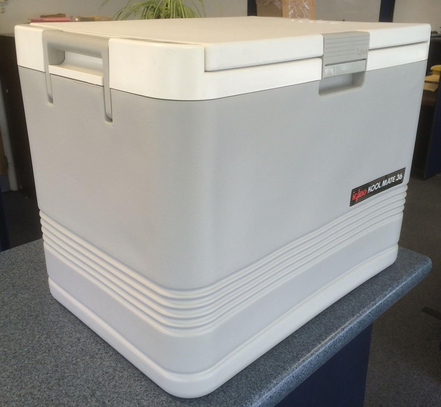 igloo kool mate 36 price