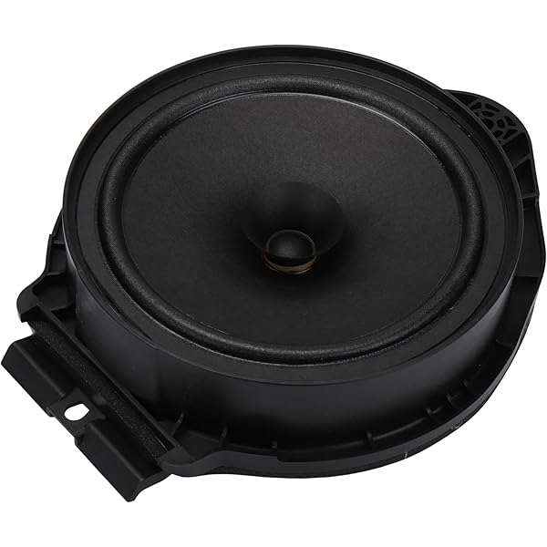 Amazon.com: GM Genuine Parts 25906039 Rear Side Door Speaker  