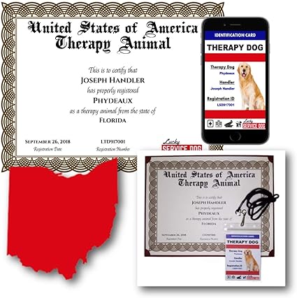 therapy animal certification