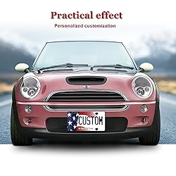 Metal Custom License Plate for Wisconsin - 6x12