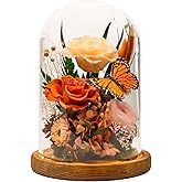 HUACHIPLUS Eternal Flower with Butterfly: Big Flowers Big Love-Elegant Flower in Glass Dome-Thanksgiving, Christmas, Mom Gifts for Her-Flowers for Delivery Prime-Floral Arrangements (Orange)