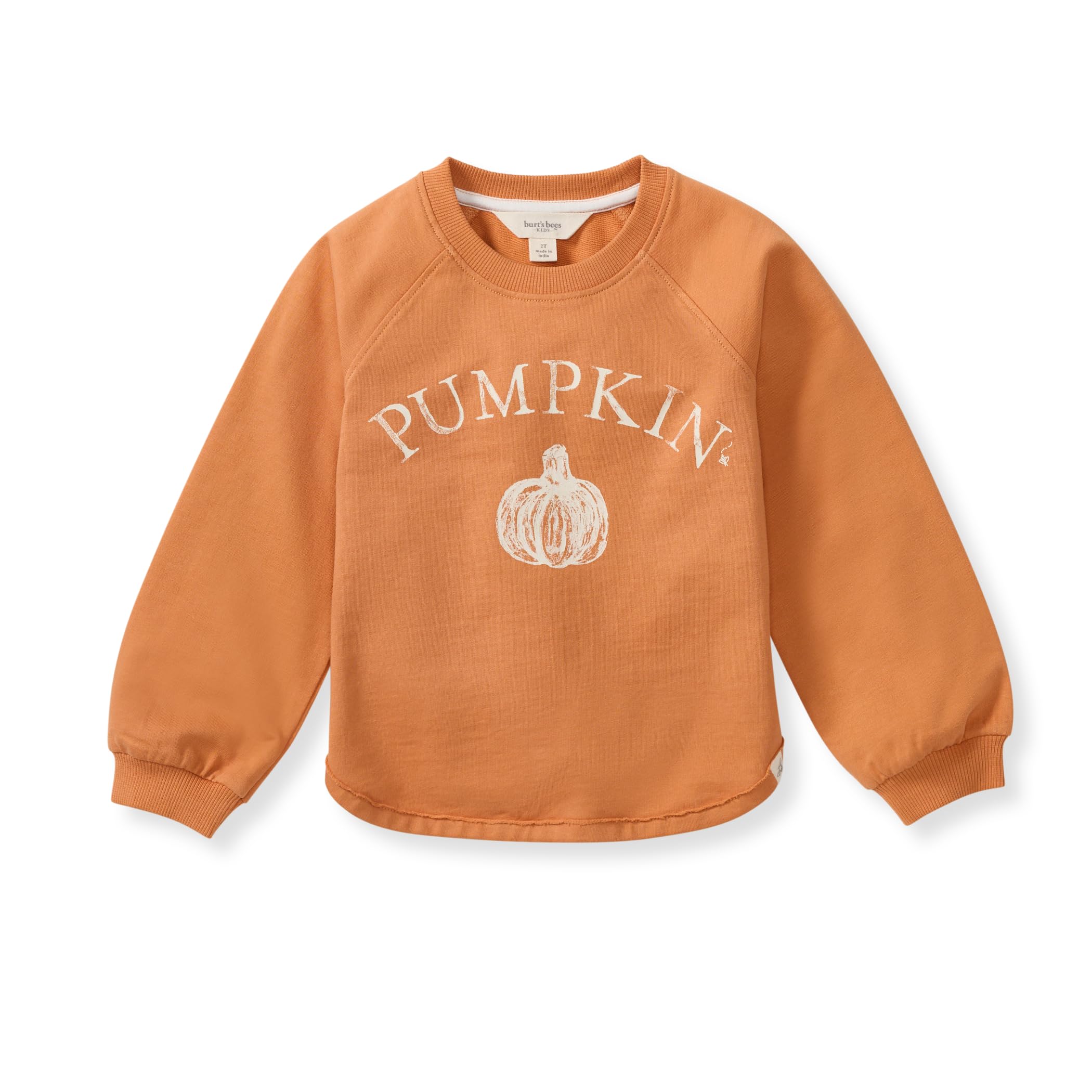 Photo 1 of Burt's Bees Baby Raglan Sleeves Organic Cotton Sweatshirt – Oversized Crew Neck, Distressed Graphic, Soft & Breathable for Newborn to 5T
