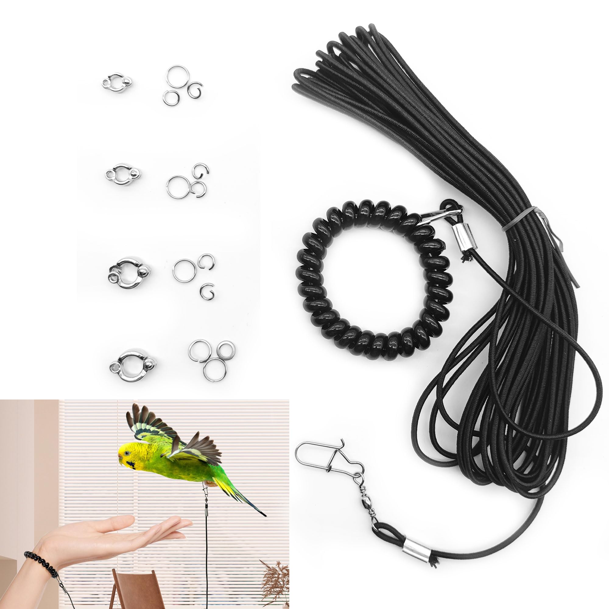 Hayaww Bird Leash, Parrot Harness, Parrot Harness, Pet Bird Activity Leash, Adjustable Flight Training Rope, 6M (W)