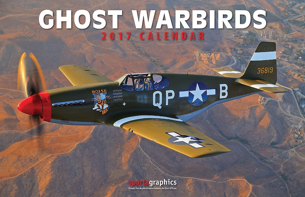 Warbirds For Sale