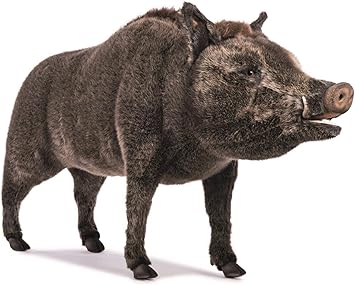 cinghiale peluche