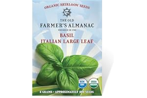 The Old Farmer's Almanac Organic Basil Seeds (Italian Large Leaf) - Approx 450 Seeds - Certified Organic, Non-GMO, Open Pollinated, Heirloom