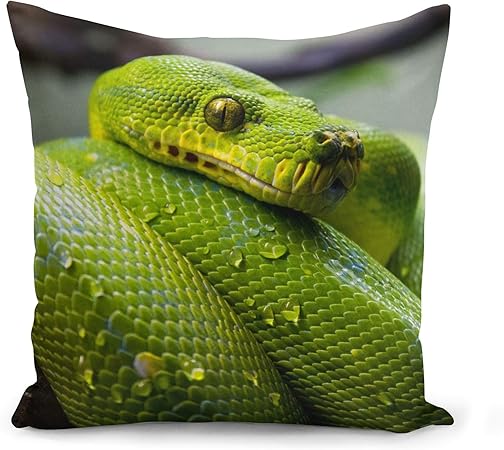 Fabulous Housse De Coussin 40x40 Cm Python Vert Sublime Serpent Photo Nature Sauvage Reptile Amazon Fr Cuisine Maison