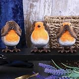 Nemesis Now Three Wise Robins 8cm Resin Figurine Brown view 6