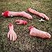 Halloween Haunters 5 Piece Fake Bloody Severed Human Body Parts Latex Prop Decoration - Scary Realistic Broken Exposed Bone Hands, Fingers, Arms, Legs & Feet - Zombie Haunted House Graveyard Cemetery