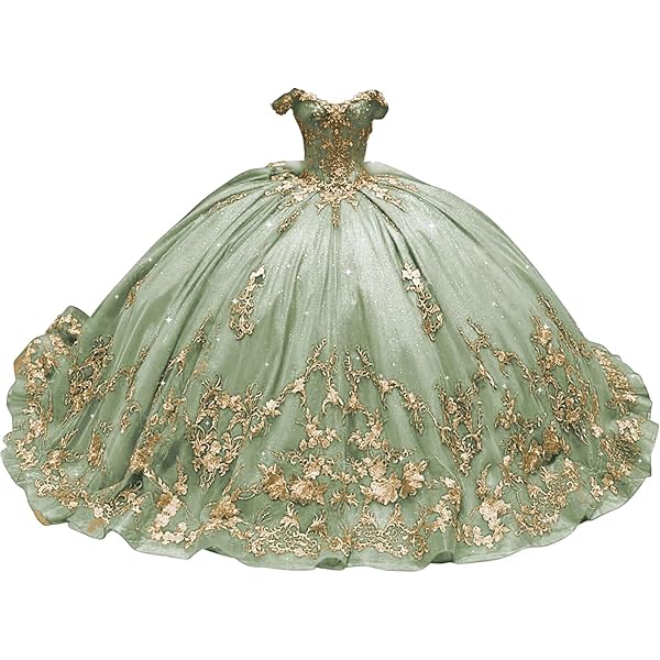 Amazon.com: Mint sage Green Quinceanera Dresses for Sweet 15 16 Birthday  Lace Prom Special Party Ball Gown with Train for Girls Long: Clothing,  Shoes & Jewelry