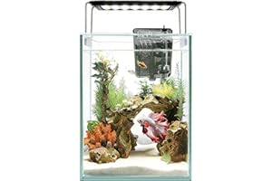iPriro Ultra White Glass Aquarium Starter Kits 1.5 Gallon Small Fish Tank, Betta Fish Tank with LED Light, Power Filter, 4mm 
