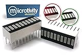 microtivity IS608 10-Segment LED Display