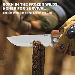 Kizer Polaris Fixed Blade Knife, 4.23" AEB-L Steel