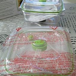 Foodsaver FFC015X-01 Fresh containers, Plástico, Transparente y ...