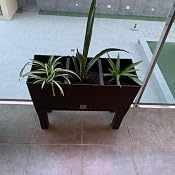 Zanvic Jardinera C/Patas Mod Rato Jh 600 C/Autorriego, Chocolate ...