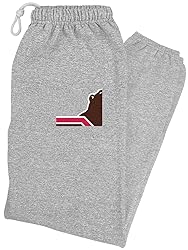 LOGOVISION Brown University Bears Primary Logo Mens