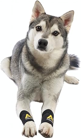 brace for dog front paw