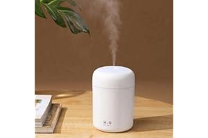 Portable Mini Humidifier, Colorful, Cool Mist, USB Powered. Perfect for Bedroom, Office & Car (300ml, White)