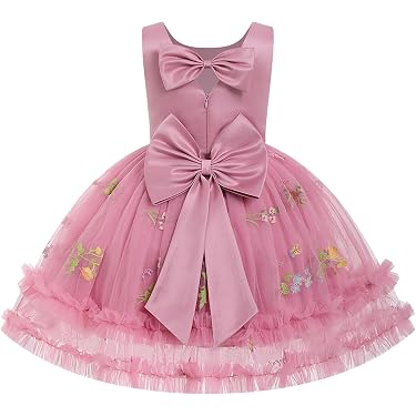 Amazon.com New Releases: The best-selling new & future releases in Baby  Girls' Dresses