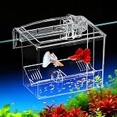 FKSC Acrylic Fish Breeder Box,Multifunction Aquarium Isolation Box,Separator Hatchery Incubator Tank for Guppy, Betta, Clownfish, Baby &amp; Injured Fish,Aquarium Bio Filter Material Box,Clear Water