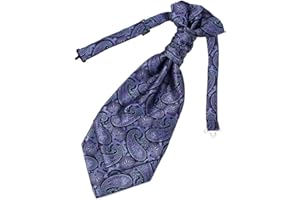 Epoint Cravat Necktie For Party Silk Pretied Ascot Cravat Tie 12 Inch Clip-On Adjustable