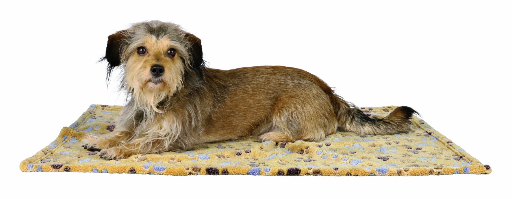 TRIXIE Laslo Fleece Blanket, 75 x 50 cm, Beige