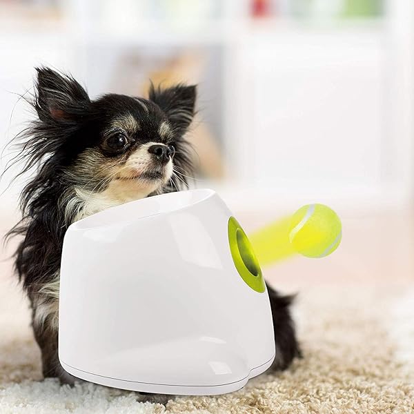 dog ball launcher amazon