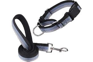 ESGPET Martingale Dog Collar and Leash Set for Walking, Playing, Training, Reflective Adjustable Puppy Collars with Leash for Small Medium Large Dogs (Black,Small)