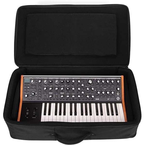 Amazon.com: Moog SR Case for Subsequent 25 Synthesizer